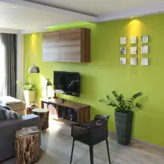 Nowoczesny salon z zieloną ścianą, szarą kanapą i czarnym kotem. Zielony pokój inspiracje dla odważnych.