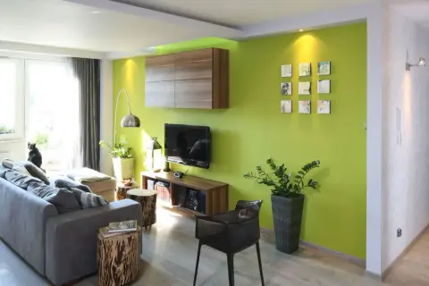 Nowoczesny salon z zieloną ścianą, szarą kanapą i czarnym kotem. Zielony pokój inspiracje dla odważnych.