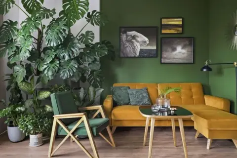Salon z mnóstwem zielonych dodatków: duża monstera, zielone poduszki i fotel. Żółta kanapa i obrazy na zielonej ścianie tworzą przytulną atmosferę.