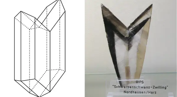 Schemat kryształu gipsu i jego rzeczywisty okaz. Gips budowlany to cenny minerał.