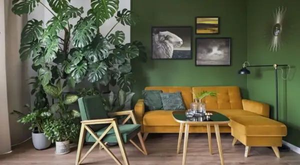 Salon z mnóstwem zielonych dodatków: duża monstera, zielone poduszki i fotel. Żółta kanapa i obrazy na zielonej ścianie tworzą przytulną atmosferę.