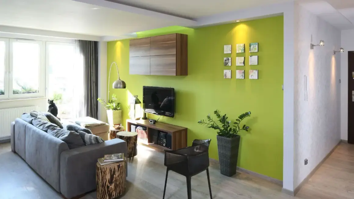 Nowoczesny salon z zieloną ścianą, szarą kanapą i czarnym kotem. Zielony pokój inspiracje dla odważnych.