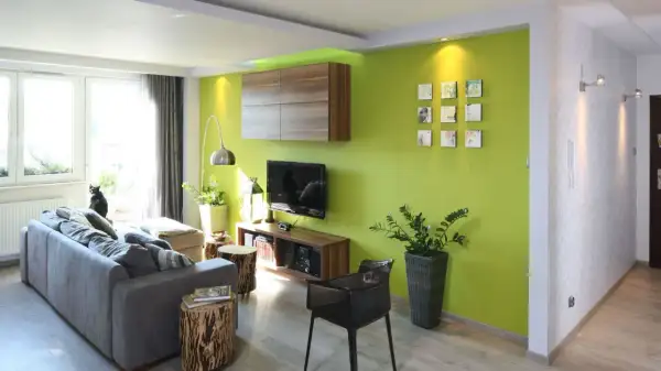 Nowoczesny salon z zieloną ścianą, szarą kanapą i czarnym kotem. Zielony pokój inspiracje dla odważnych.